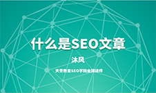 什么是SEO文章